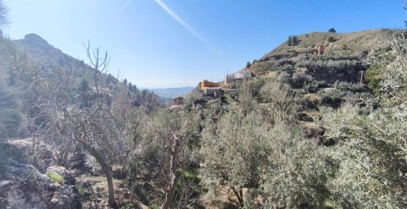 Village Property – Cuenca