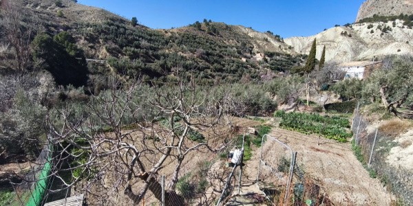 Village Property – Cuenca