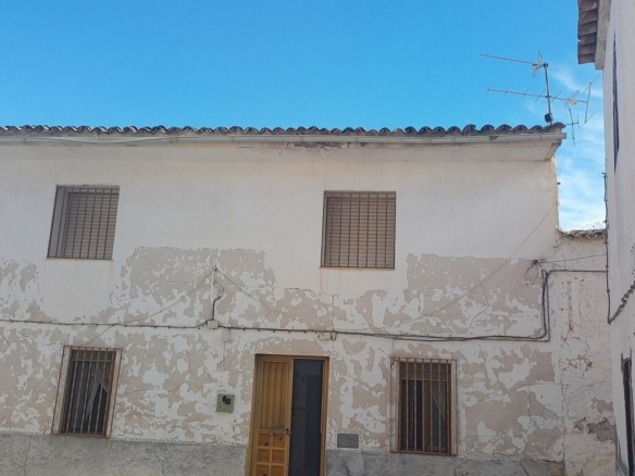 Village Property – Larva