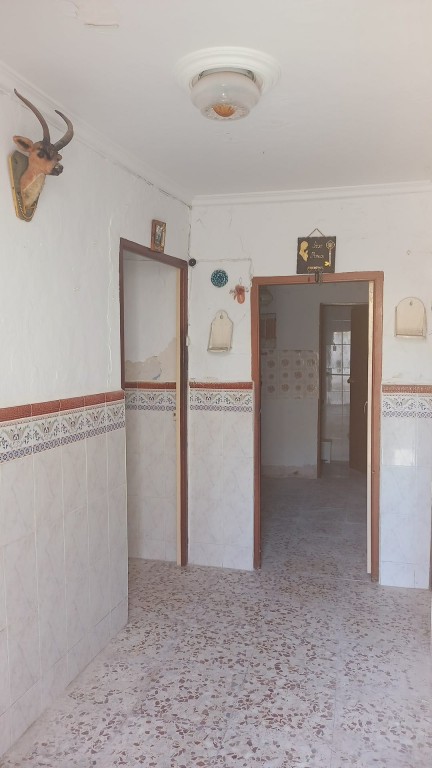 Village Property – Larva
