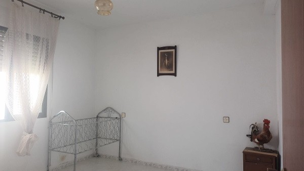 Village Property – Larva