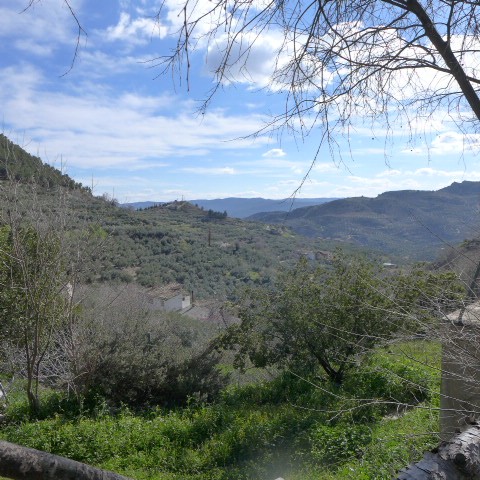 Rural Property – Don Pedro
