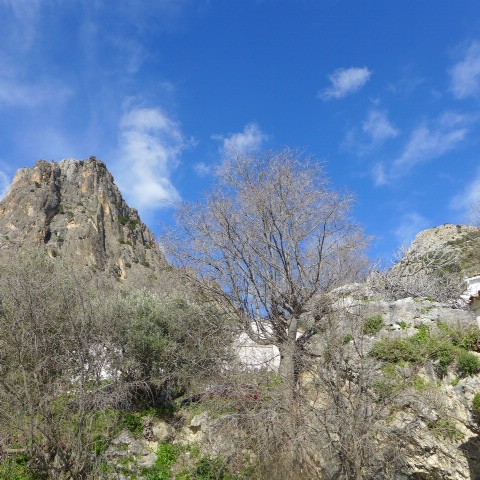 Rural Property – Don Pedro