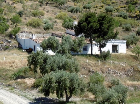 Rural Property – Sufli