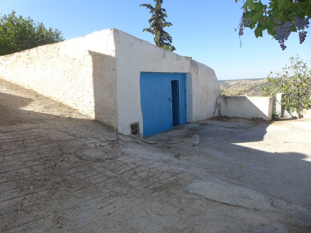 Rural Property – Fuenta Vera