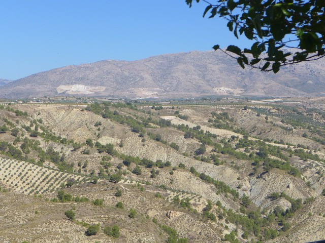 Rural Property – Fuenta Vera
