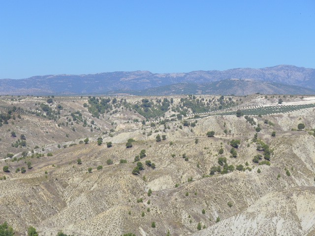 Rural Property – Fuenta Vera