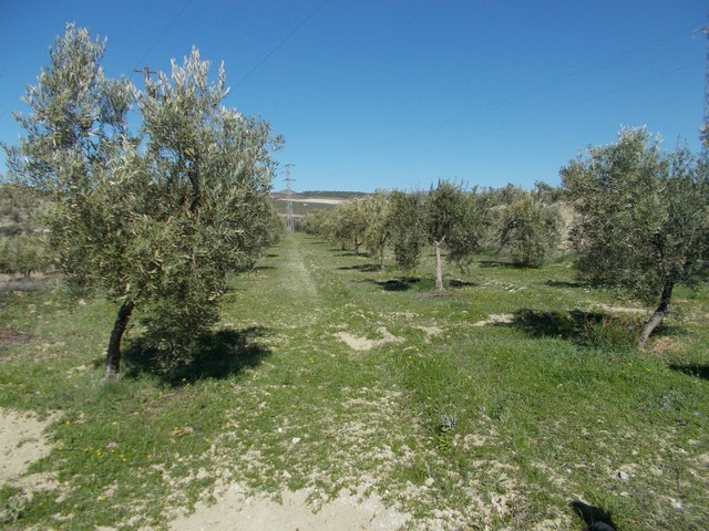Rural Property – Seron
