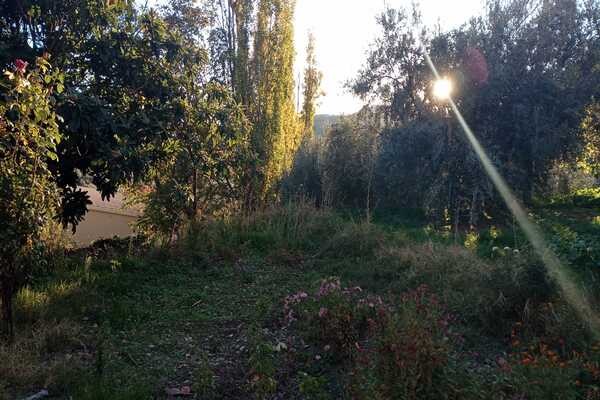 Rural Property – Don Pedro