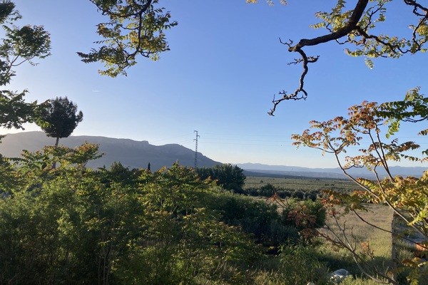 Rural Property – Baza