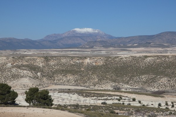Cave House – Orce