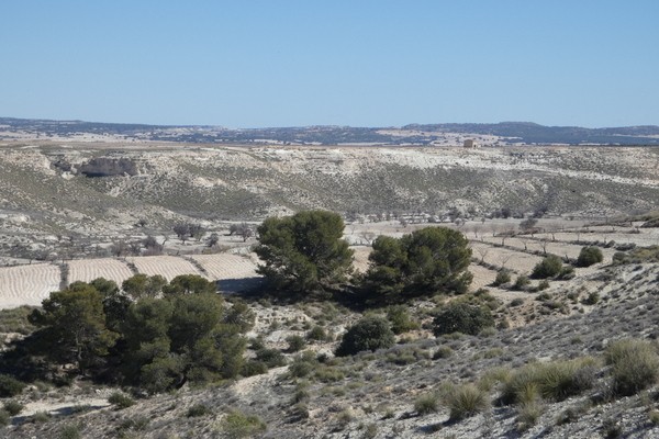 Cave House – Orce