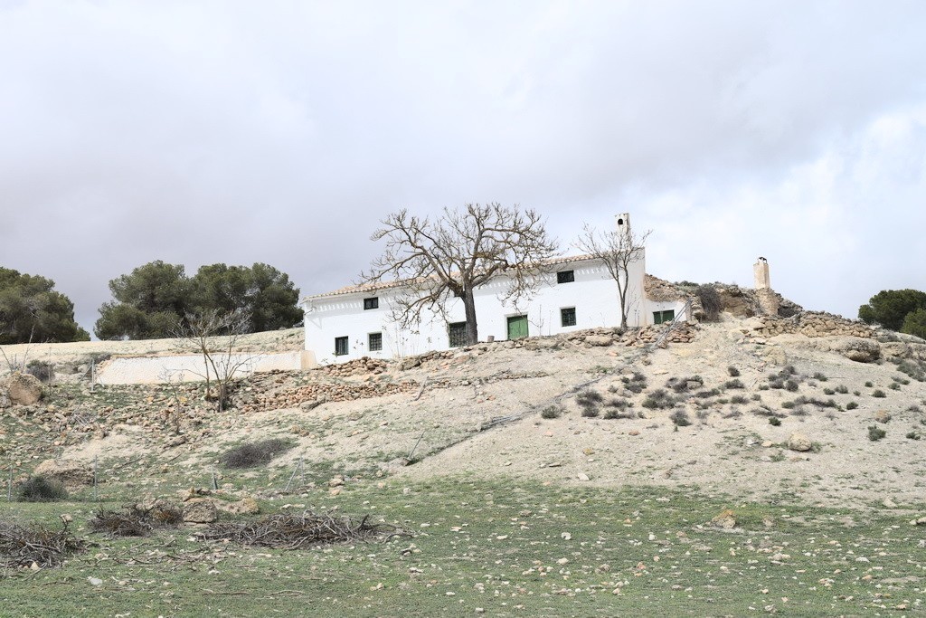 Country Estate – Benamaurel