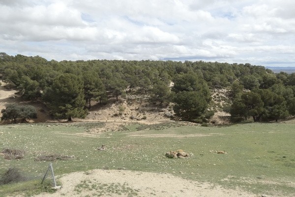Country Estate – Benamaurel