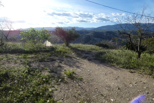 Rural Property – Castril