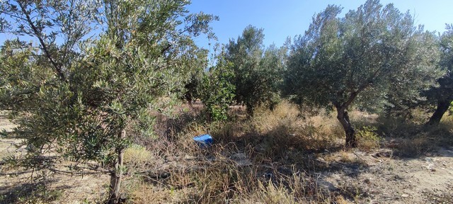 Rural Property – Urracal