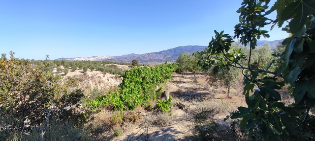 Rural Property – Urracal