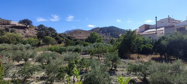 Village Property – Bayarque