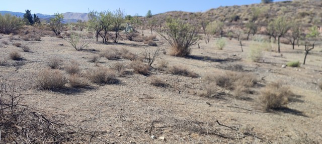 Rural Property – Olula del Rio