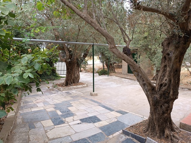 Rural Property – Baza