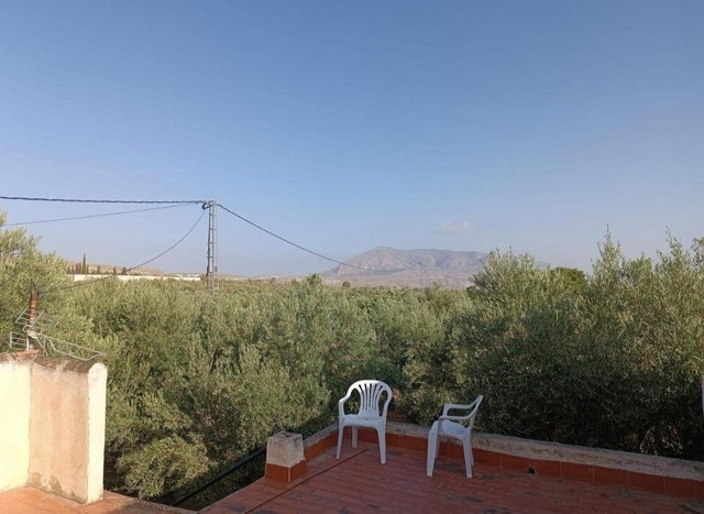 Rural Property – Baza