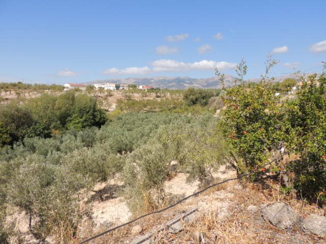 Cave House – Fatima