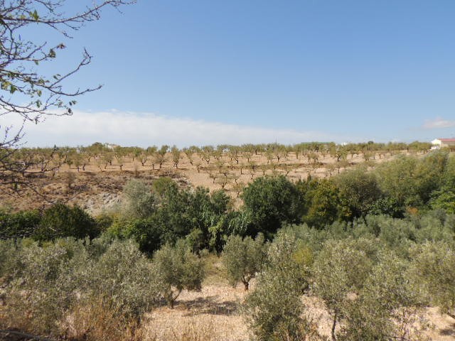 Cave House – Fatima