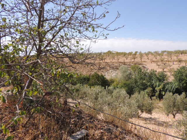 Cave House – Fatima