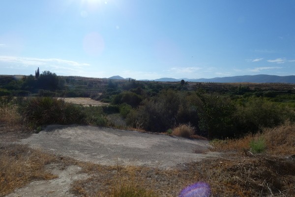 Rural Property – La Alqueria