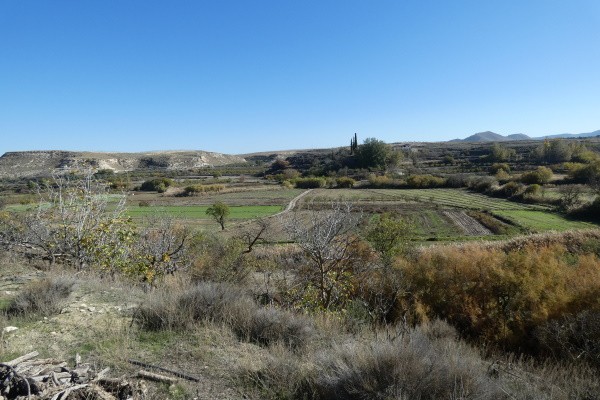 Rural Property – La Alqueria