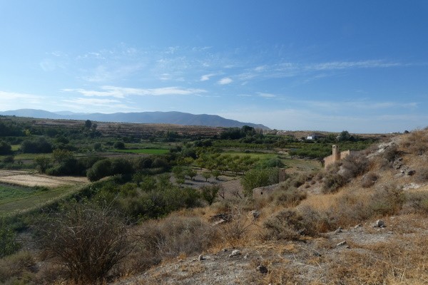 Rural Property – La Alqueria