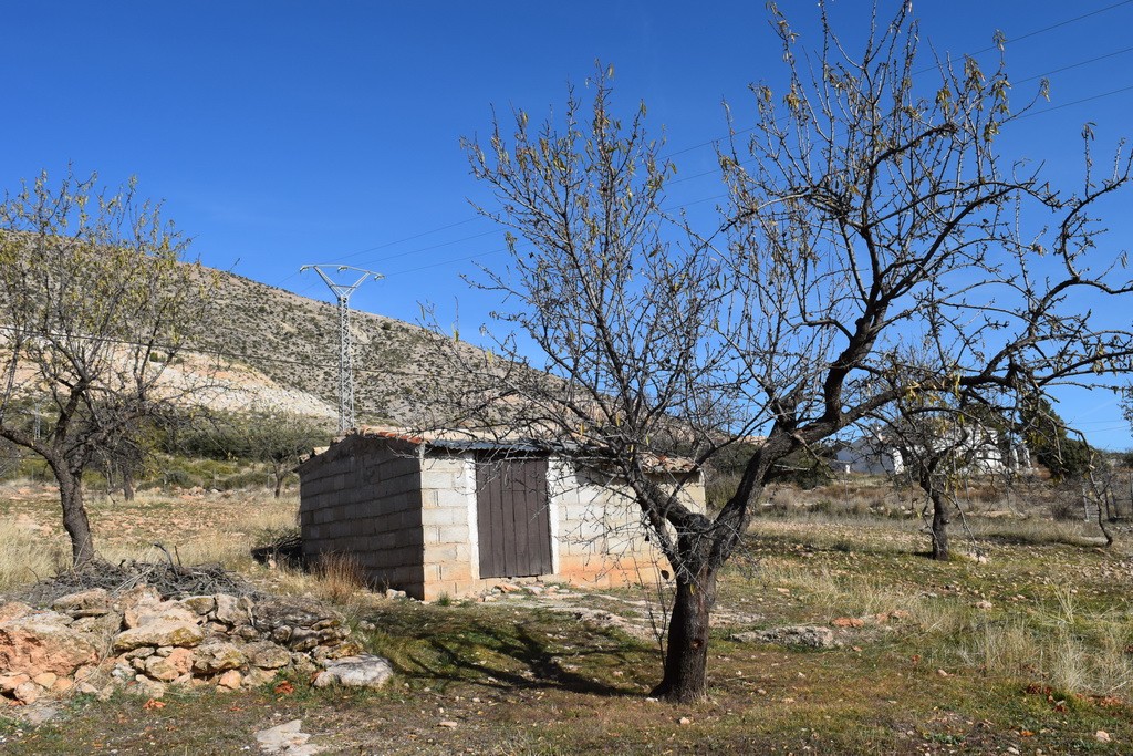 Rural Property – Castril