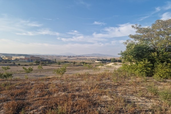 Rural Property – Orce