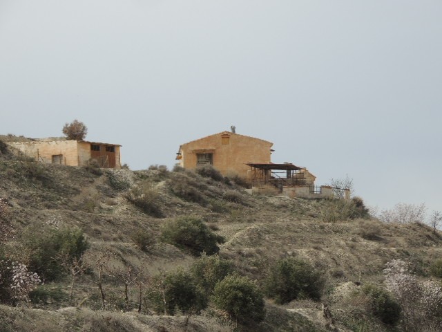 Rural Property – Orce