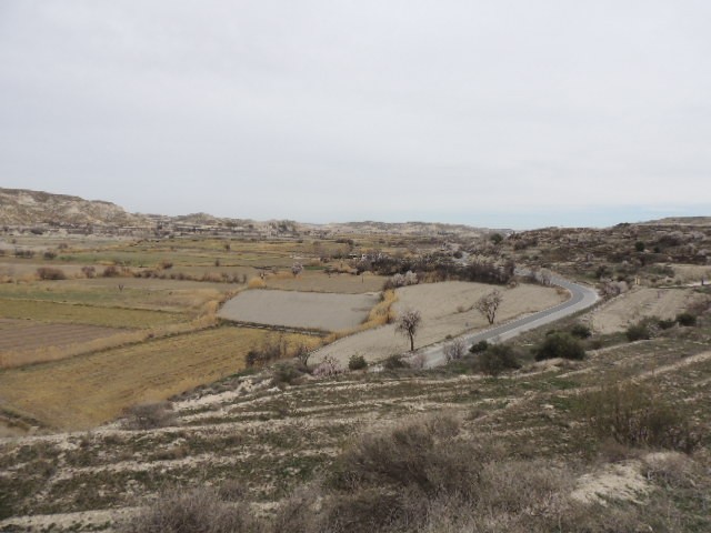 Rural Property – Orce