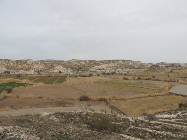 Rural Property – Orce