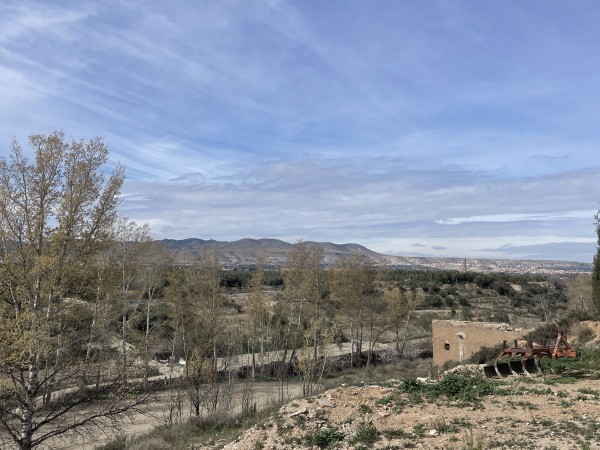 Rural Property – Caniles