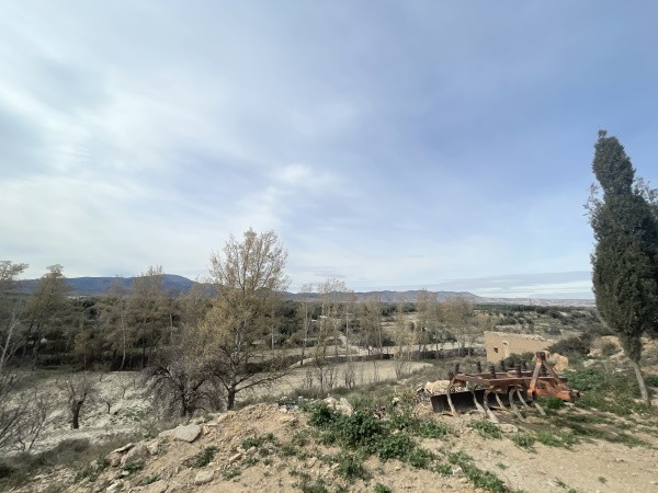 Rural Property – Caniles