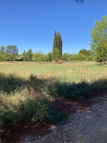 Villa – Huescar