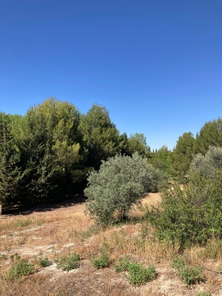 Villa – Huescar