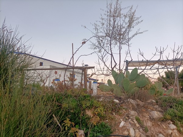Rural Property – Huescar