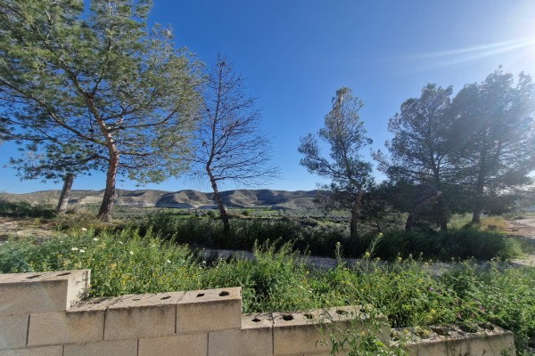 Cave House – Cullar