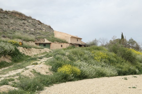 Cave House – Galera