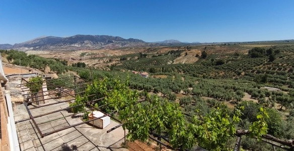 Village Property – Fontanar