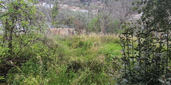 Rural Property – Don Pedro