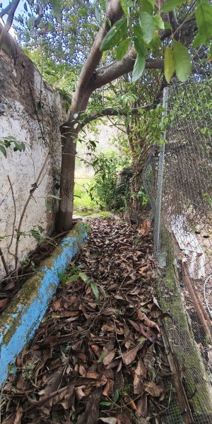 Rural Property – Don Pedro
