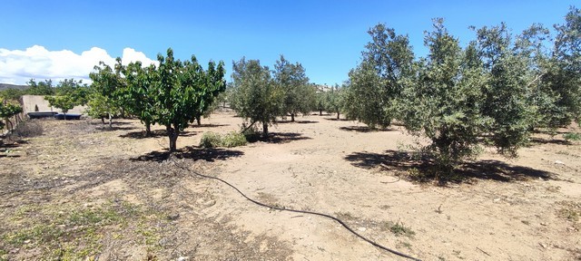 Rural Property – Hijate