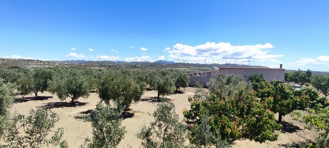 Rural Property – Hijate
