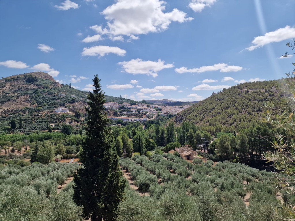 Rural Property – Castril
