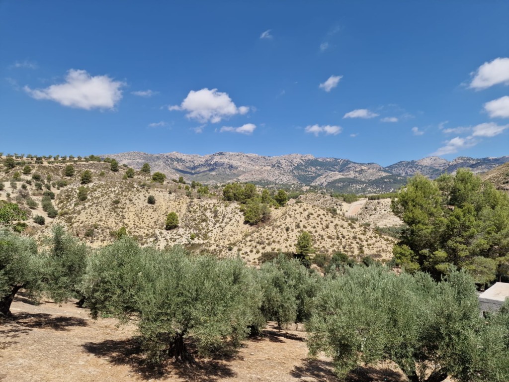 Rural Property – Castril